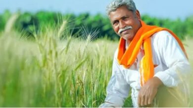 Photo of अब किसान भी करवा सकते हैं अपनी फसल का इंश्योरेंस, जाने डिटेल्स