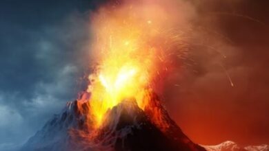 Photo of धरती पर कहां से आया था जीवन? साइंटिस्ट का बड़ा दावा