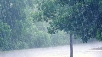 Photo of पहाड़ों पर बर्फबारी तो मैदानी इलाकों में बारिश ने बढ़ाई परेशानी, दिल्ली-NCR में बढ़ी ठंड