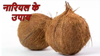 Photo of श्रीफल के इन उपायों से होगा आपका कल्याण