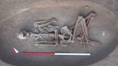 Photo of पार्क बनाने के ल‍िए चल रही थी खुदाई, तभी अंदर से न‍िकली ऐसी चीज…