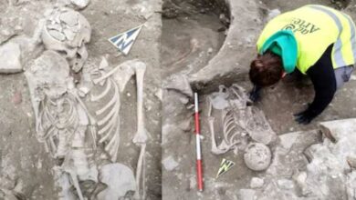 Photo of चौराहे पर चल रहा था निर्माण का काम, तभी नीचे से आई खट-खट की आवाज, अंदर मिली ऐसी चीज…