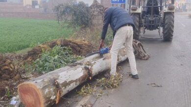 Photo of हरियाणा: सरकार की ‘प्राण वायु देवता योजना’ को वन विभाग के अधिकारी ही लगा रहे पलिता