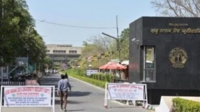 Photo of पंजाब: गुरु नानक देव यूनिवर्सिटी में तैयार होंगे चाइल्डहुड एजुकेशन के प्रोफेशनल