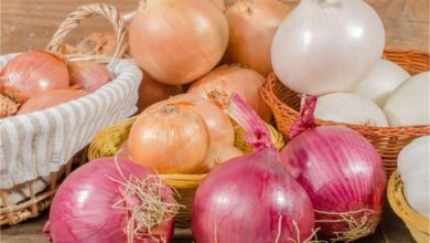 Photo of सरकार ने प्याज के निर्यात पर लगा प्रतिबंध हटाया