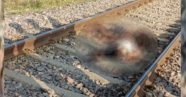 Photo of रायबरेली: रेलवे ट्रैक पर मिले प्रेमी युगल के क्षत विक्षत शव…