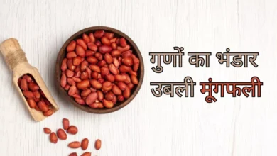 Photo of पोषक तत्वों का पावरहाउस है उबली हुई मूंगफली