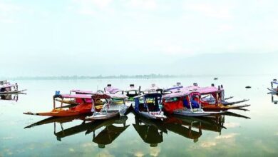 Photo of जम्मू-कश्मीर: धूप निकलने से दिन के पारे में उछाल, रातें अब भी ठंडी