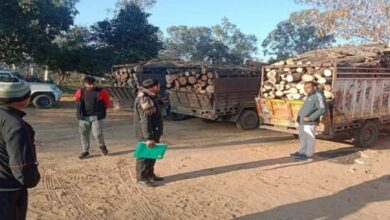 Photo of हरियाणा: मुख्यमंत्री उड़नदस्ते ने पकड़े लकड़ी से भरे पांच वाहन