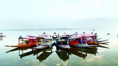Photo of जम्मू-कश्मीर: धूप निकलने से दिन के पारे में उछाल, रातें अब भी ठंडी