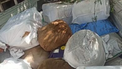 Photo of राजधानी में ग्वालियर से लाकर खपया जा रहा था 2400 किलो मावा और 700 किलो पनीर