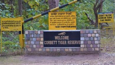 Photo of बाघ के आतंक से परेशान ग्रामीणों ने कॉर्बेट पार्क बंद करने की दी धमकी