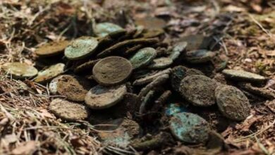 Photo of खेत में चल रही थी खुदाई, आने लगी खट-खट की आवाज, अंदर से निकला दुर्लभ ‘खजाना’