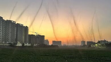 Photo of ‘मच्छरों की फौज’ ने शहर पर किया हमला, करोड़ों की संख्या में उड़ते दिखे