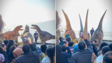 Photo of पंजाबी गाने पर ‘डायनासोर’ वाला डांस!