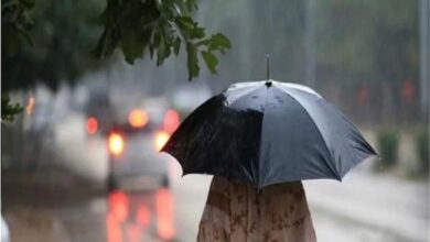 Photo of पंजाब में बारिश की चेतावनी जारी, जानें आगे के मौसम का हाल