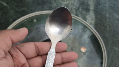 Photo of चम्‍मच हमारे घरों तक कैसे पहुंचा? कब और कहां हुआ इसका आव‍िष्‍कार