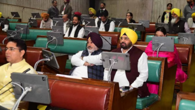 Photo of पंजाब: विधानसभा में आप विधायक की मांग- सरकार शुरू करे अफीम की खेती