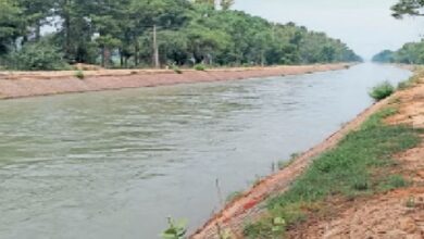 Photo of हरियाणा : भाखड़ा नहर की सफाई के कारण 24 दिनों तक रहेगी नहरबंदी
