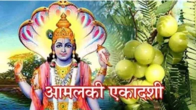 Photo of आमलकी एकादशी के दिन इस विशेष जल का घर में करें छिड़काव