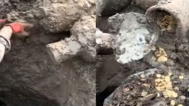 Photo of जमीन की खुदाई कर रहा था शख्स, आने लगी खट-खट की आवाज, दिखे बड़े-बड़े जार!