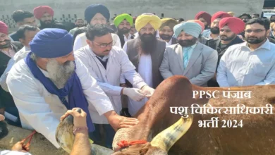 Photo of आज से करें पंजाब में पशुचिकित्सा अधिकारियों भर्ती के लिए आवेदन