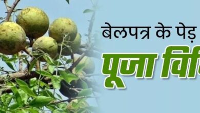 Photo of प्रदोष व्रत के दिन ऐसे करें बेलपत्र के पेड़ की विशेष पूजा