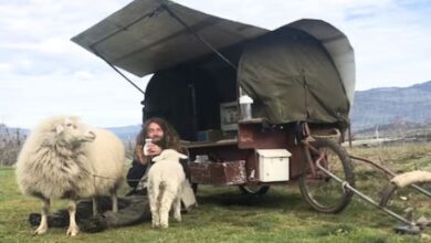 Photo of 40 की उम्र में हुआ मोहभंग, आलीशान घर बेचा और जंगल में जाकर रहने लगा शख्‍स