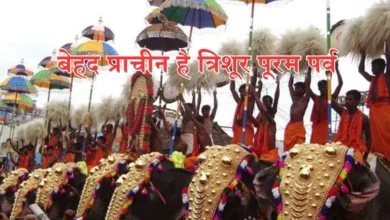 Photo of बेहद अनोखा है केरल का यह त्रिशूर पूरम पर्व