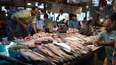 Photo of भारत में 2005-21 के दौरान मछली की प्रति व्यक्ति खपत 81 प्रतिशत बढ़ी
