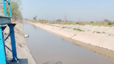 Photo of हरियाणा: यमुना में जलस्तर घटने से बिगड़ी स्थिति