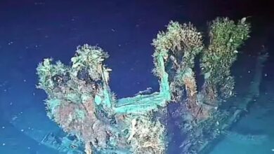 Photo of अरबों का खजाना लेकर डूबा था ये जहाज, अब न‍िकालने की तैयारी!