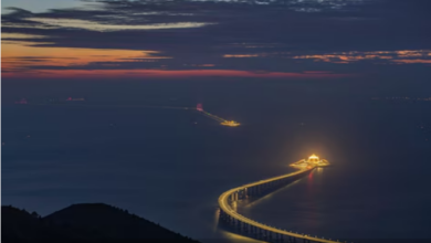 Photo of खरबों खर्च कर बना है ये भूतहा ब्रिज, सर्पीली सड़क घुसती है पानी के अंदर!