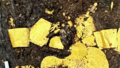 Photo of चल रही थी मज़ार की खुदाई, दिखने लगीं चमकीली चीज़ें…!