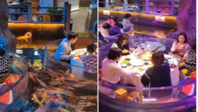 Photo of पानी के बीच बैठकर खाना खाते दिखे लोग, आसपास तैरती नजर आईं मछलियां!