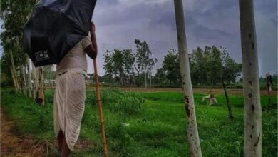 Photo of पंजाब: किसानों के लिए मुसीबत बनी बारिश, मंडरा रहा ये खतरा