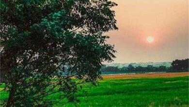 Photo of यूपी में फिर बदलेगा मौसम, अब नहीं चलेंगी तेज हवाएं