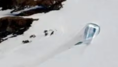 Photo of अंटार्कटिका की बर्फ में मिला विशाल दरवाजा, पाताल लोक जाने का रास्‍ता तो नहीं?