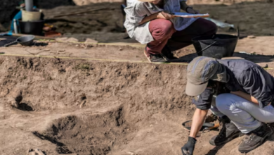 Photo of पुराने जमाने की मिट्टी की हो रही थी स्टडी, उसमें आज के दौर की मिली ऐसी चीज!