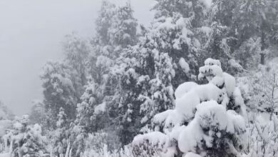 Photo of जम्मू  : घाटी में मौसम ने खड़ी की आफत, भूस्खलन से जम्मू-श्रीनगर हाईवे बंद