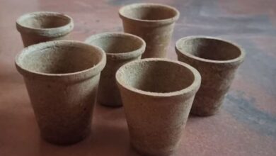 Photo of एमपी: सागर में इको फ्रेंडली गेहूं के भूसे से बनाए चाय के कुल्हड़ और स्ट्रॉ