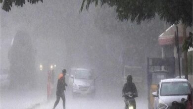 Photo of पंजाब में आंधी तूफान व बारिश ने मचाई तबाही