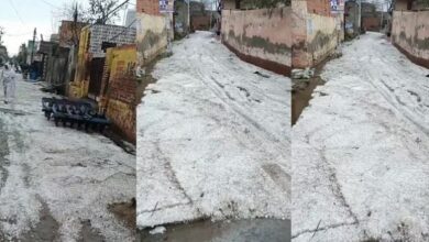 Photo of हरियाणा के नौ जिलों में बारिश के साथ ओलावृष्टि