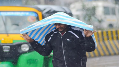Photo of पंजाब में बदलेगा मौसम, तेज हवाओं के साथ हल्की बारिश की संभावना