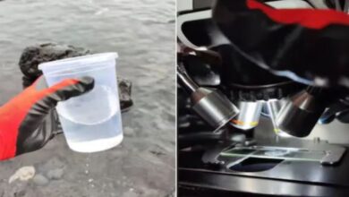 Photo of क्या आपने भी गलती से पिया है समुद्री पानी? रेत के साथ तैरती हैं ऐसी चीजें!