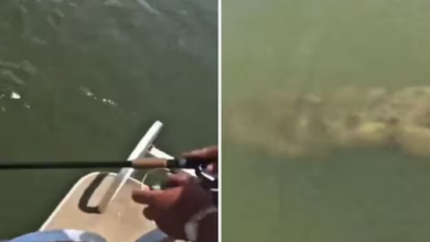 Photo of मछली पकड़ने के लिए शख्स ने पानी में डाला कांटा, अचानक नजर आई ऐसी चीज!