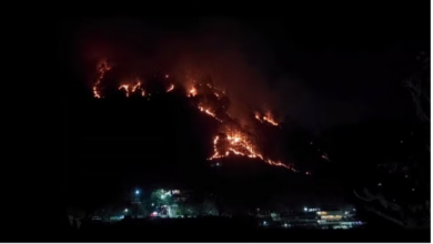 Photo of उत्तराखंड: बदरीनाथ हाइवे के ऊपरी इलाकों में रात भर धधकते रहे जंगल