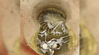 Photo of महिलाओं को जिंदा दफना दिया जाता था…किए जाते थे ऐसे काम