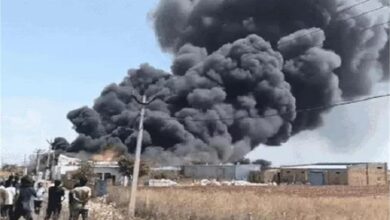 Photo of हरियाणा की गद्दा फैक्ट्री में आग लगने से 8 गायों की मौत