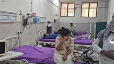 Photo of हरियाणा: मधुमक्खियों ने बोला हमला, 2 दर्जन से अधिक बच्चे व स्टाफ सदस्य घायल…